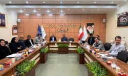 بهرهگیری از ظرفیتهای بصری شهر؛ مسیر شهرداری رشت برای ثروتآفرینی و درآمد پایدار